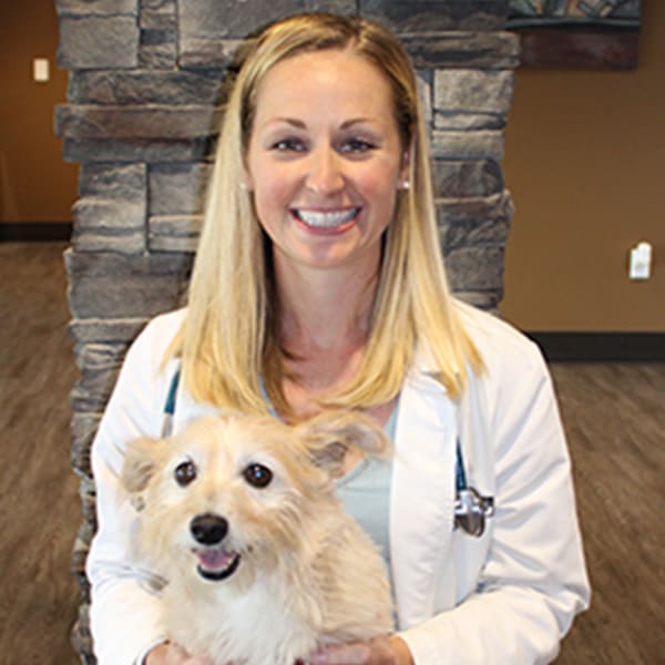 Dr. Allison Edwards, Lebanon Veterinarian 