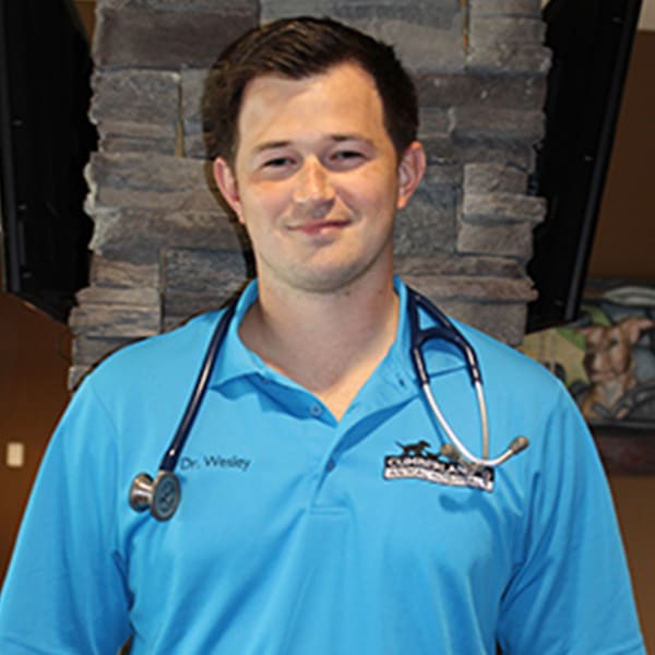 Dr. Wesley Kinchen, Lebanon Veterinarian